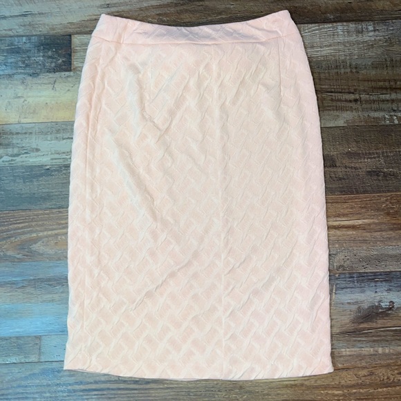 Cato - Picture 7 of 8